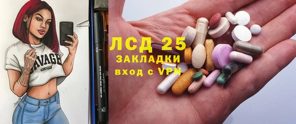 прущие грибы Белоозёрский