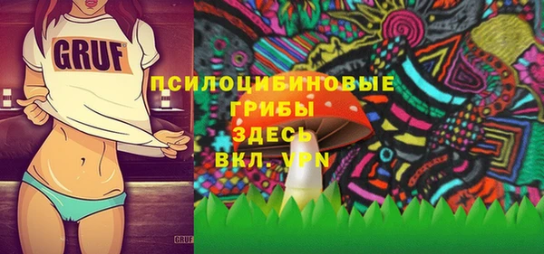 бошки Беломорск