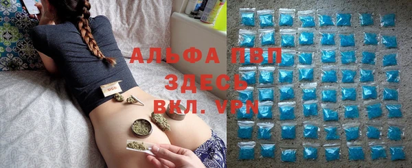 кокс Белокуриха