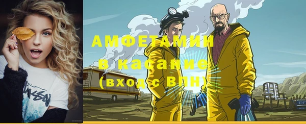 мдпв Вяземский