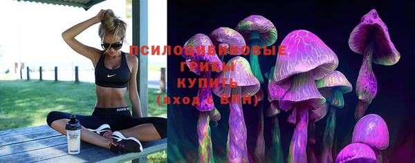 бошки Беломорск