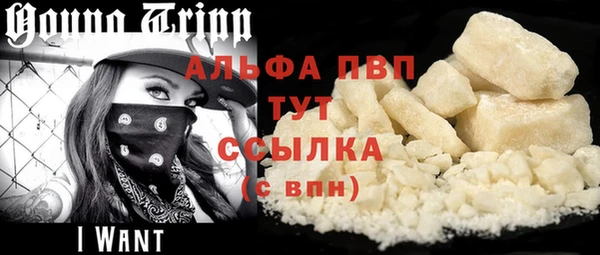 индика Богородск