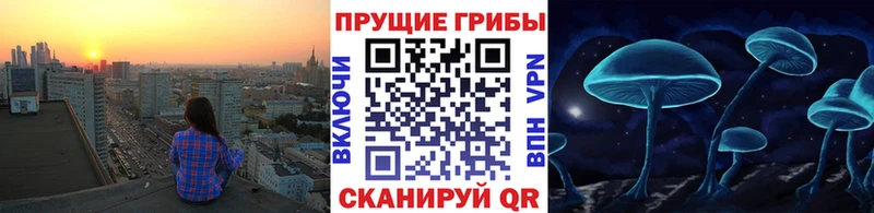 Псилоцибиновые грибы Magic Shrooms  Боготол 